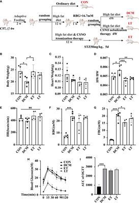 Myocardial protection of S-nitroso-L-cysteine in diabetic cardiomyopathy mice